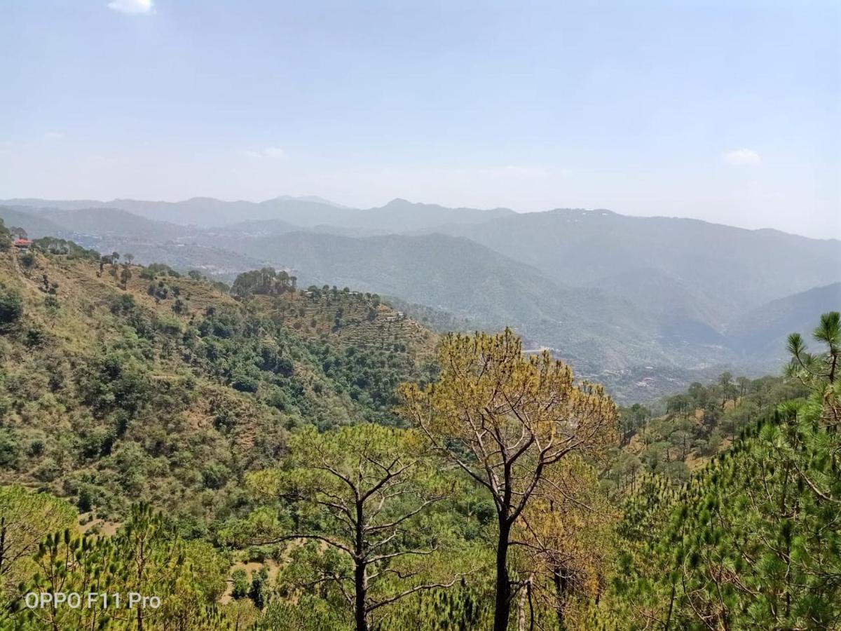 Pine Peak Villa Kasauli Luaran gambar