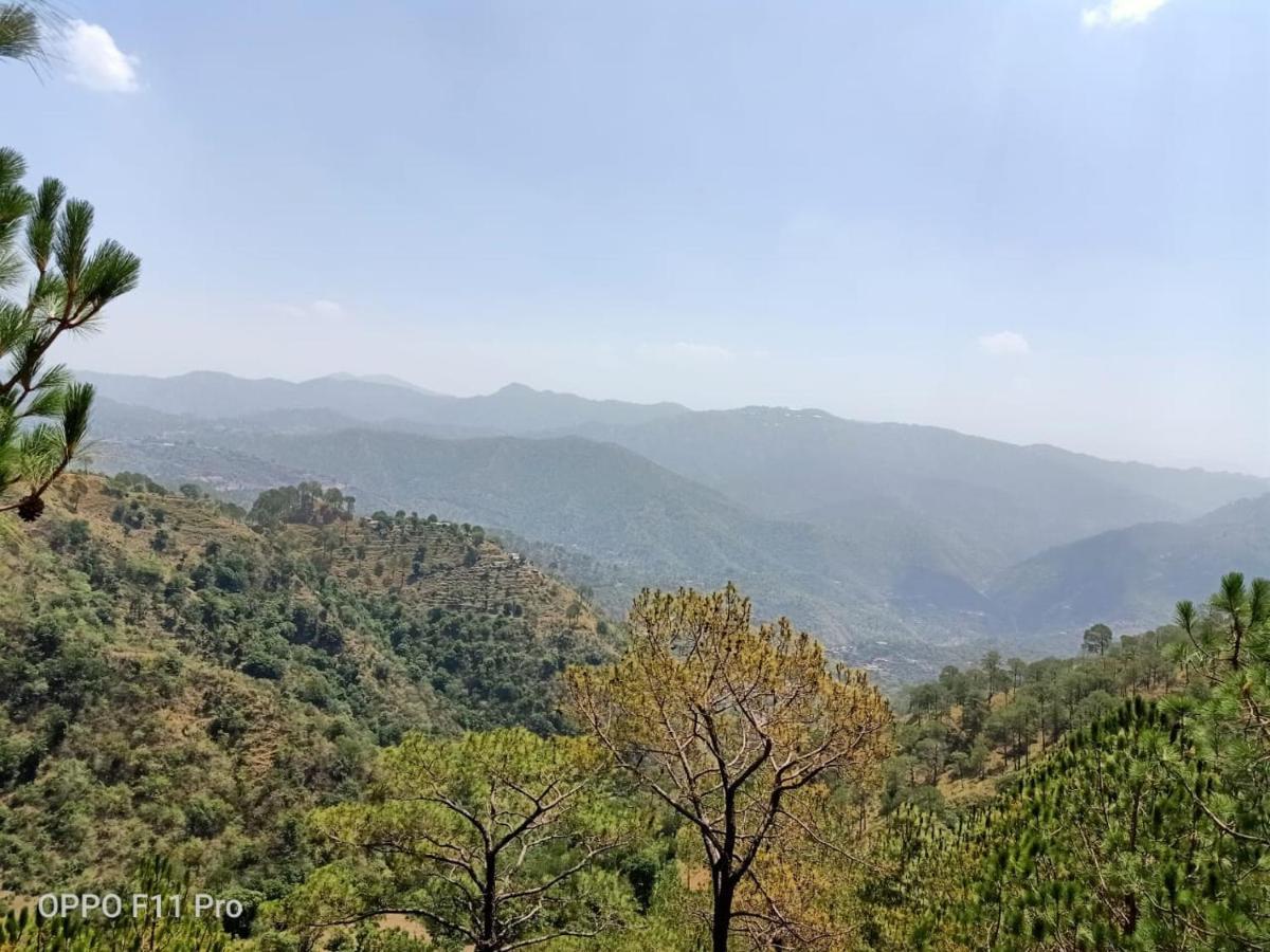 Pine Peak Villa Kasauli Luaran gambar